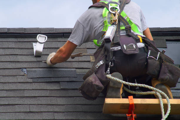 Best Roof Repair Services  in White Cloud, MI