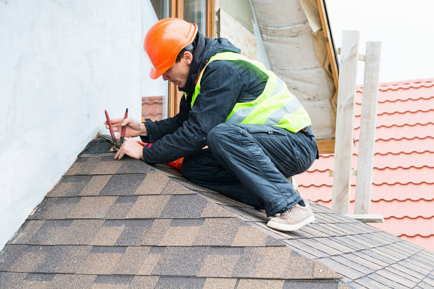 Best Roof Maintenance Services  in White Cloud, MI