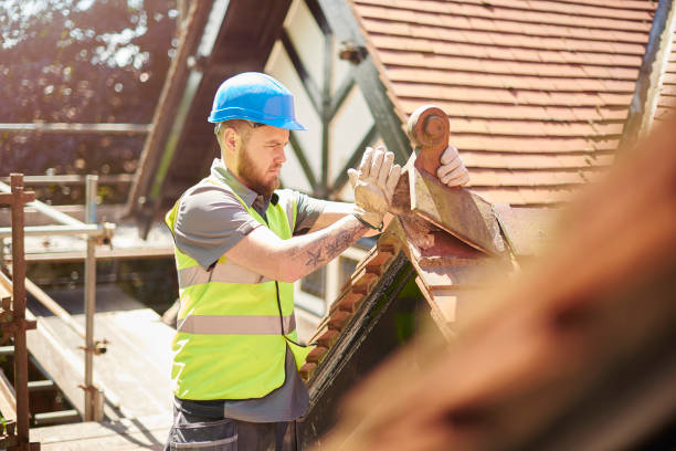Best Sealant for Roof  in White Cloud, MI
